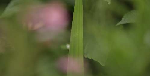 Nachtreffen der Jahresgruppen